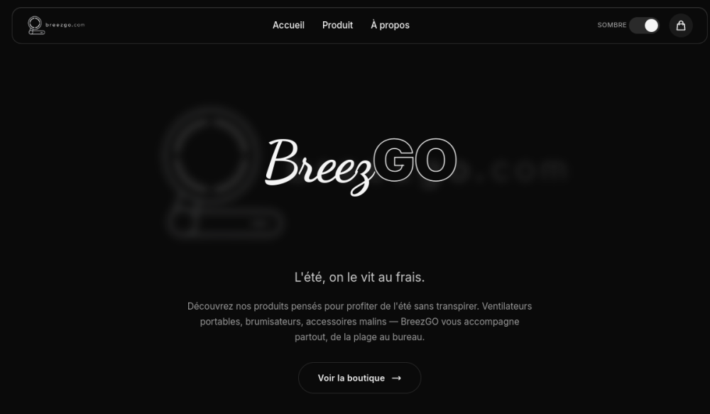 Aperçu BreezGo